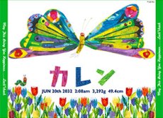 ライムグリーン