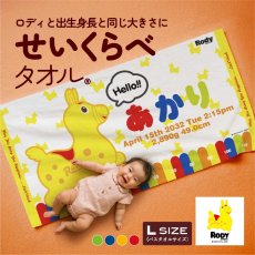 画像1: ロディ | スタンダード | バースタオル | Lサイズ (1)